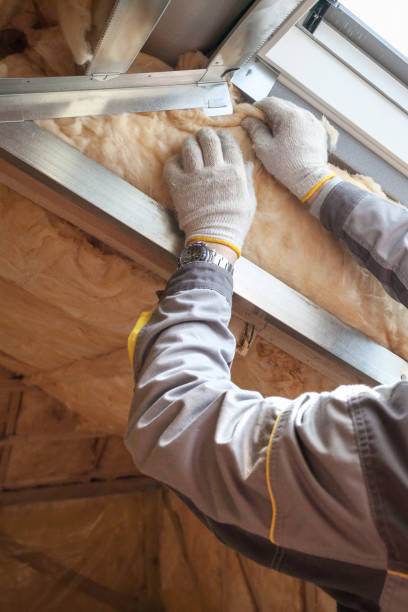 Best Specialized Insulation Services in Carmel, IN