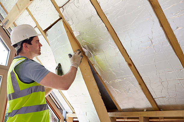 Best Eco-Friendly Insulation in Carmel, IN